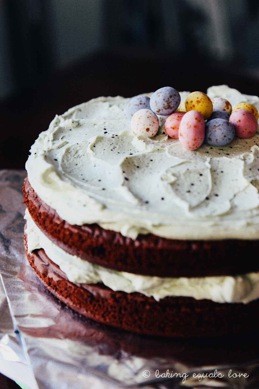 Speckled Easter Egg Cake Chocolate With Whipped Vanilla Buttercream Frosting Speckled Easter Egg Cake Chocolate With Whipped Vanilla Buttercream Frosting