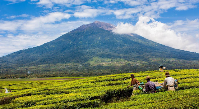 JALUR PENDAKIAN GUNUNG KERINCI