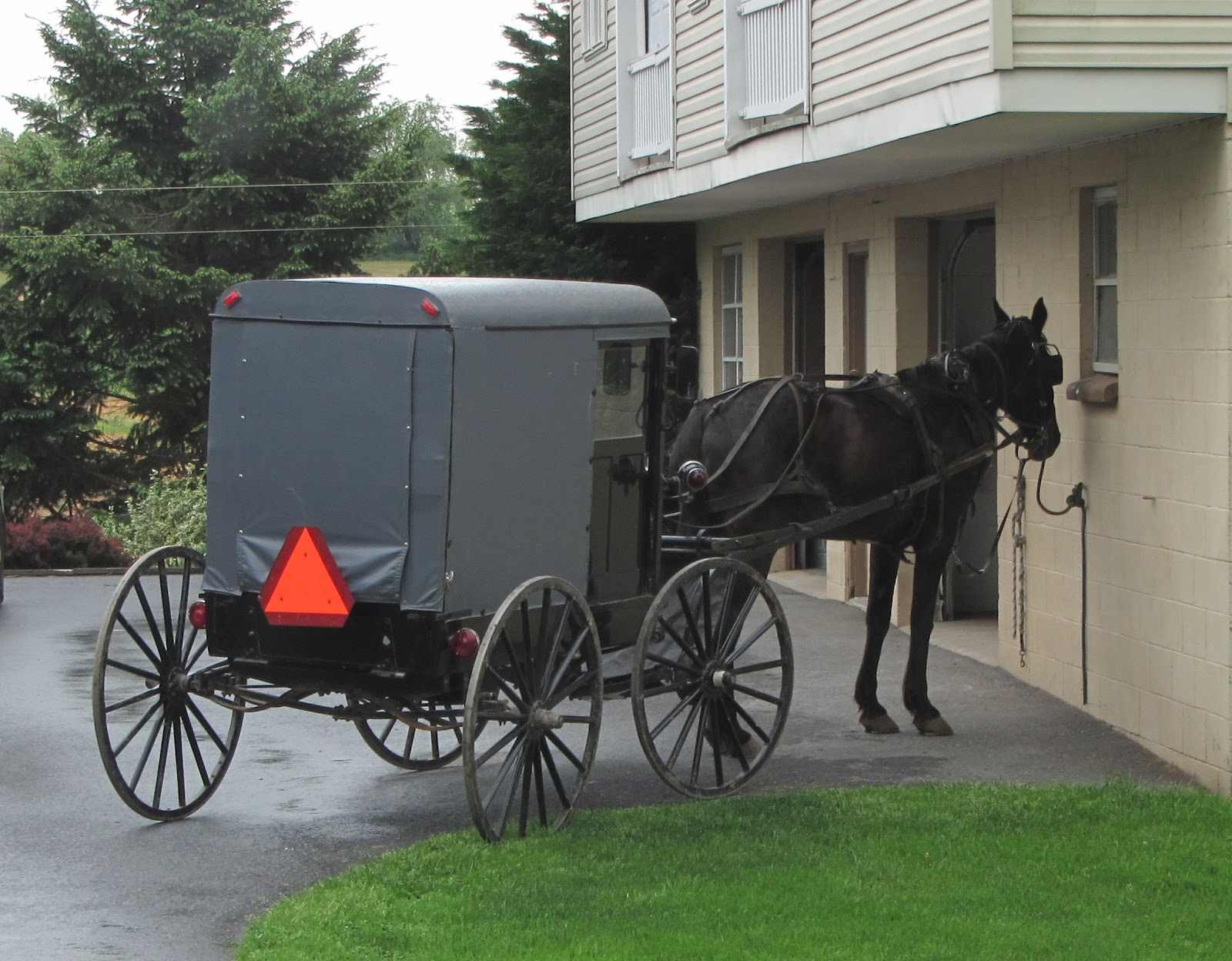 amish bike scooter