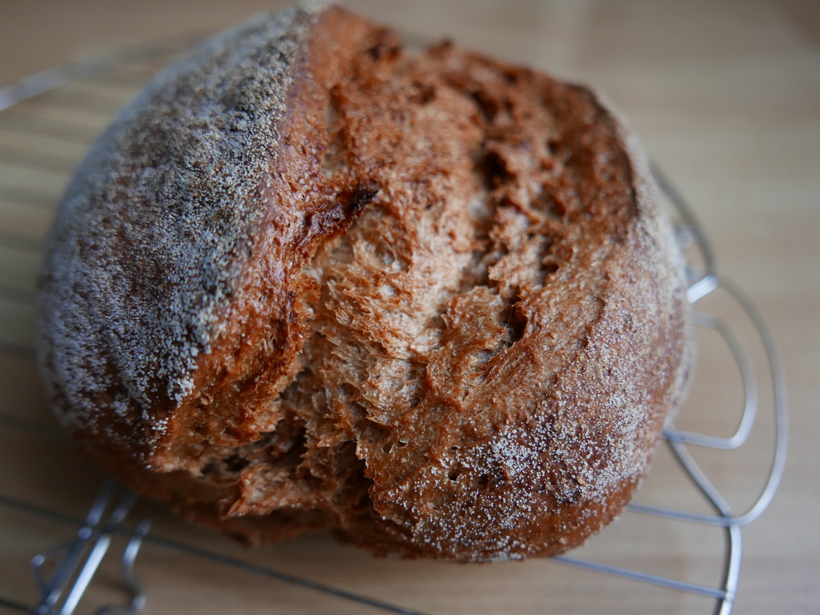Four seasons. Sourdough Rye Bread with molasses and chocolate.