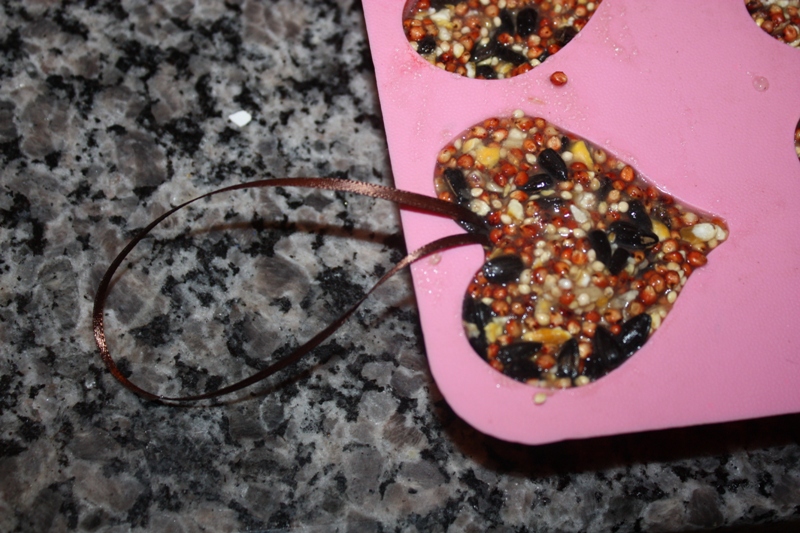 Christy Robbins Bird Seed Hangers