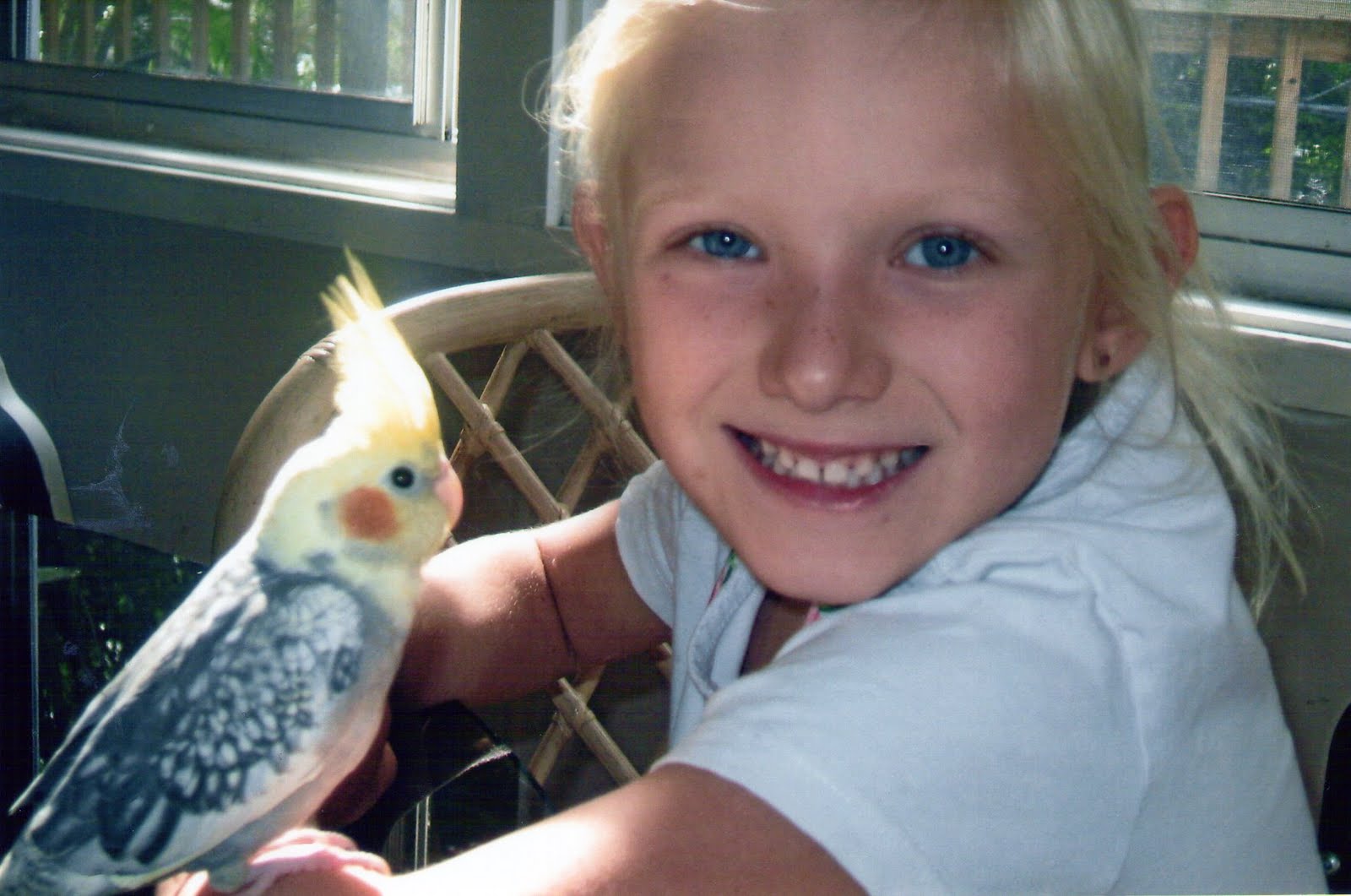 RSPCA NSW Education RSPCA Van Photo Competition