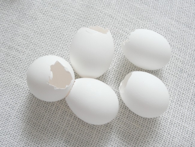 emptied eggs to use for crafts