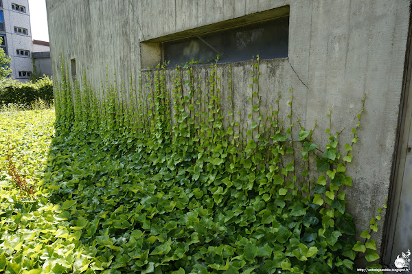 Nevers - Eglise Sainte-Bernadette du Banlay, Part. 2<br /> Architectes: Claude Parent, Paul Virilio (Architecture Principe)<br /> Avec Odette Ducarre (maquette des vitraux), Morice Lipsi (Mobilier) Construction: 1963 - 1966 Nevers - Eglise Sainte-Bernadette du Banlay, Part. 2<br /> Architectes: Claude Parent, Paul Virilio (Architecture Principe)<br /> Avec Odette Ducarre (maquette des vitraux), Morice Lipsi (Mobilier) Construction: 1963 - 1966