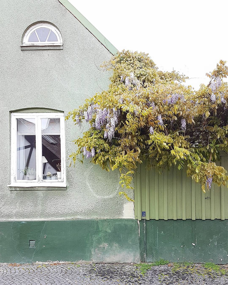 Photo by Beatrice Hallberg.