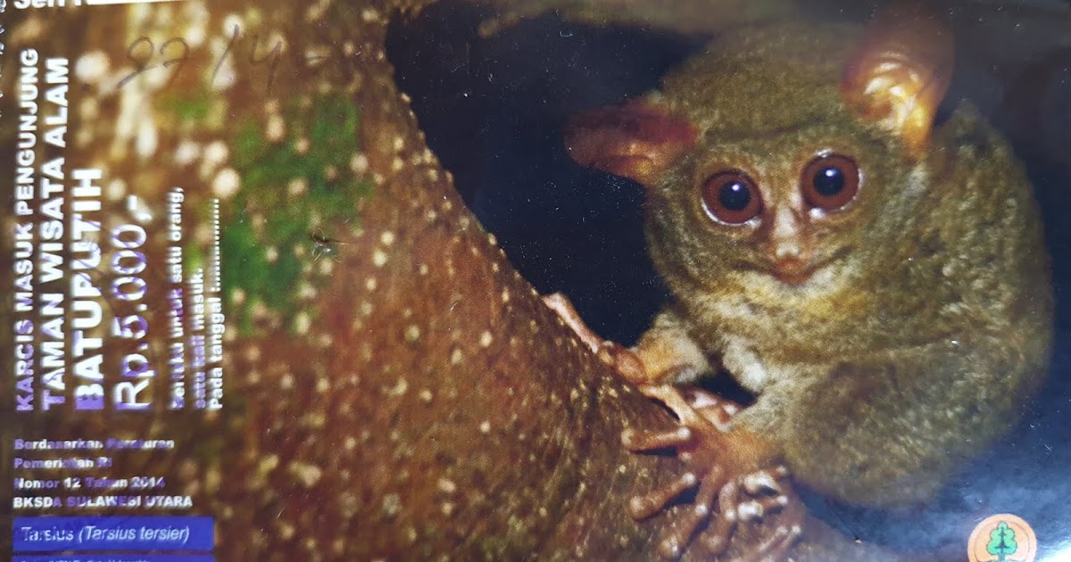  Hewan  endemik  Sulawesi dan eksplorasi panas bumi 