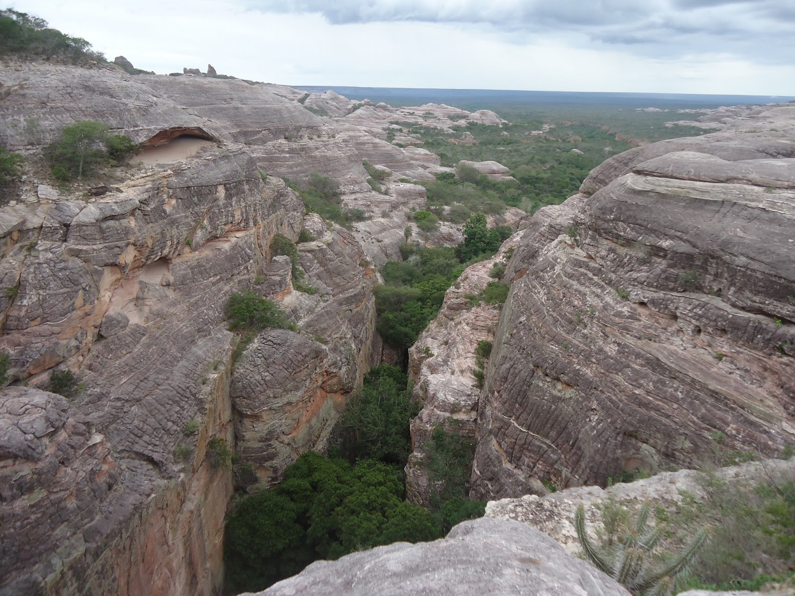 PROFESSOR SEM FRONTEIRAS Parque Nacional da Serra das Confusões PI