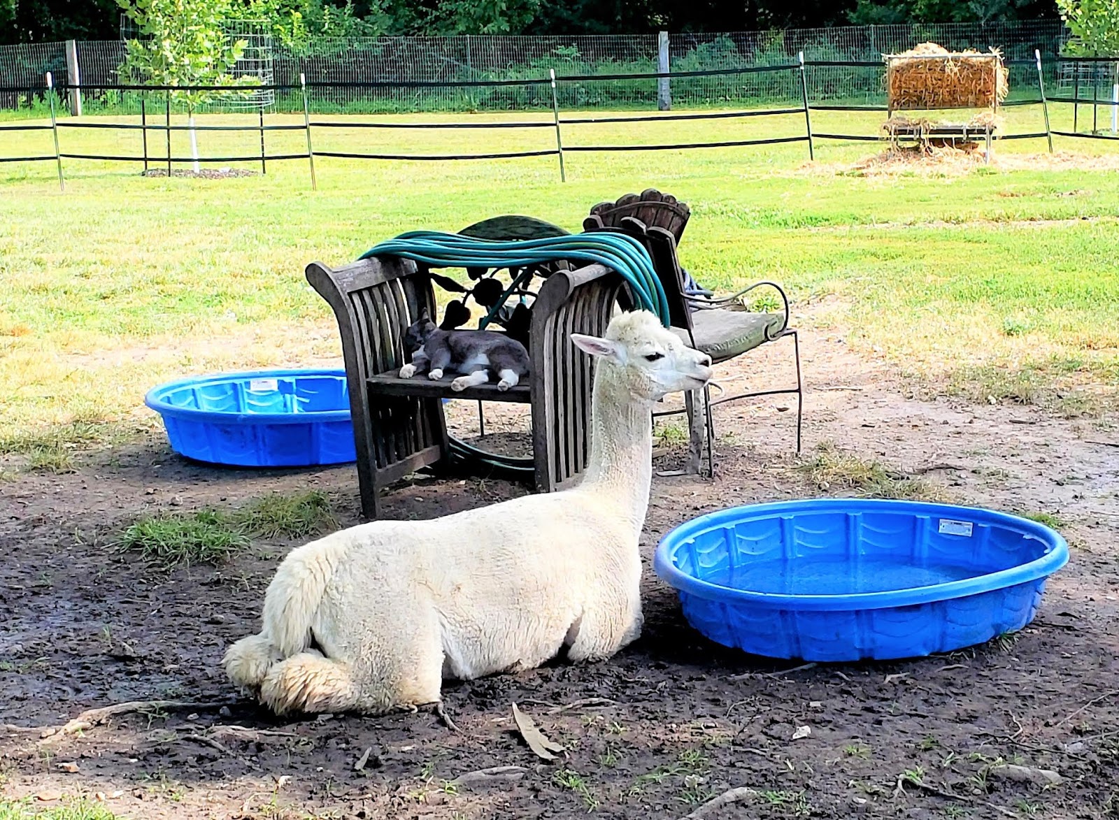 Mustang Dreams Bike Ride Sometimes No Plans Are The