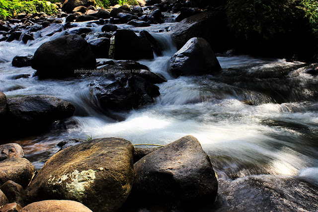Kejernihan sungai Cireong Kejernihan sungai Cireong