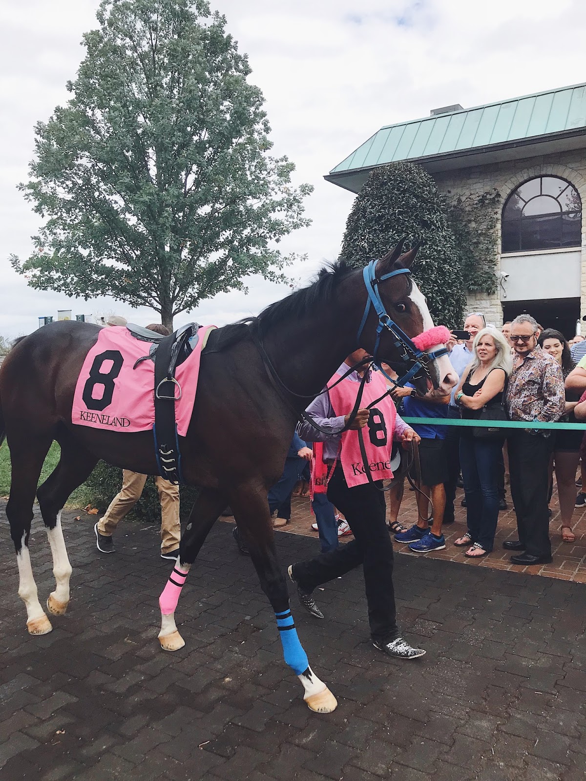 Summer Wind What to Wear to Keeneland In the Fall