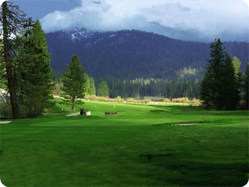 Wawona Hotel Golf Course Barbecue The Redwoods In Yosemite Year Wawona Hotel Golf Course Barbecue The Redwoods In Yosemite Year