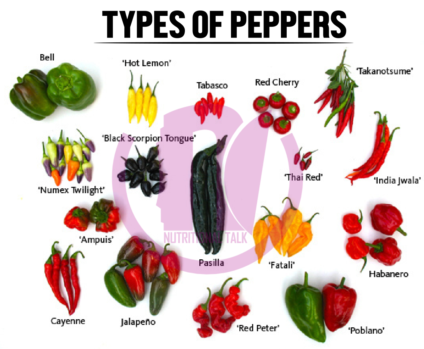 benefits of having hot peppers nwg works the real health benefits of eating pepper nutalk benefits of having hot peppers nwg works the real health benefits of eating pepper nutalk