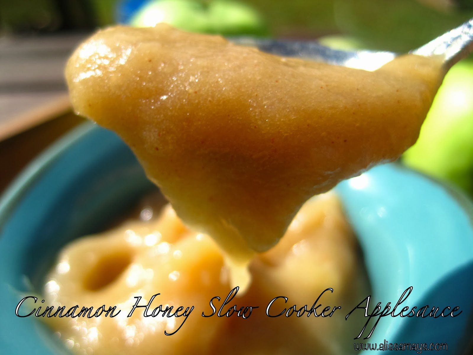 Alissamay's Cinnamon Honey Slow Cooker Applesauce