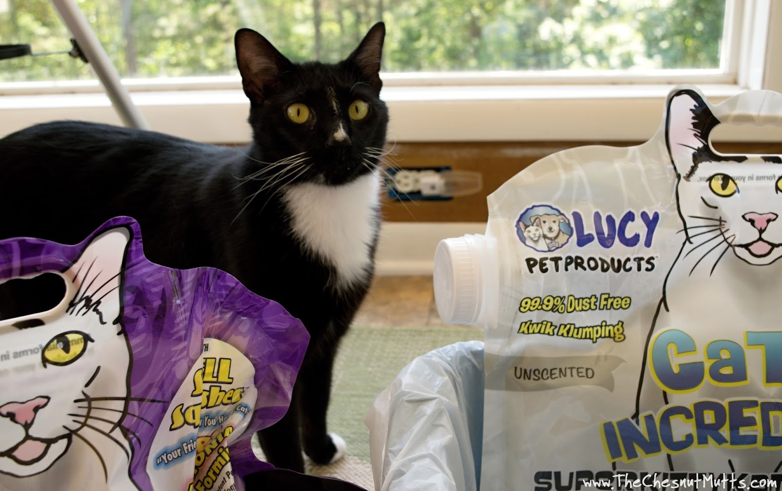 Review & Giveaway What makes Lucy Pet Products™ Cats Incredible™ Cat