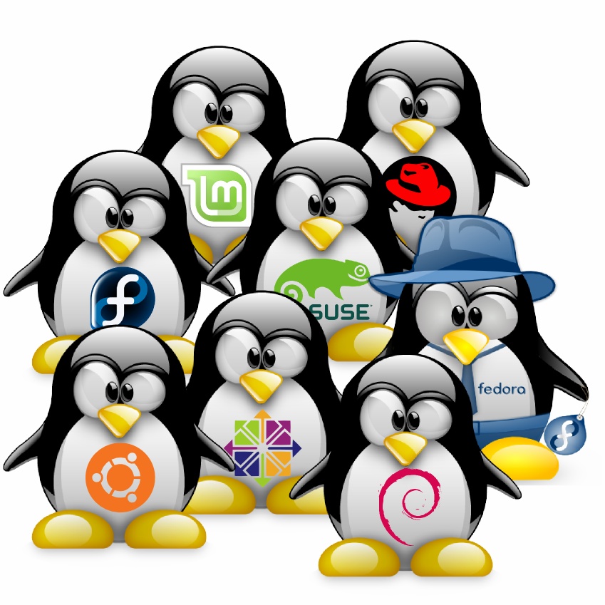 linux beginner,linux beginner,linux beginner,linux beginner,linux beginner,linux beginner,linux beginner,linux beginner,linux beginner,linux beginner,linux beginner,linux beginner,linux beginner,linux beginner,linux beginner,linux beginner,linux beginner,linux beginner,linux beginner,linux beginner,linux beginner,linux beginner,linux beginner,linux beginner,linux beginner,linux beginner,linux beginner,linux beginner,linux beginner,linux beginner,linux beginner,linux beginner,linux beginner,linux beginner,linux beginner,linux beginner,linux beginner,linux beginner,linux beginner,linux beginner,linux beginner,linux beginner,linux beginner,linux beginner,linux beginner,linux beginner,linux beginner,linux beginner,linux beginner,linux beginner,linux beginner,linux beginner,linux beginner,linux beginner,linux beginner,linux beginner,linux beginner,linux beginner,linux beginner,linux beginner,linux beginner,linux beginner,linux beginner,linux beginner,linux beginner,linux beginner,