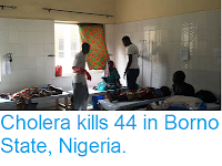 https://sciencythoughts.blogspot.com/2017/09/cholera-kills-44-in-borno-state-nigeria.html