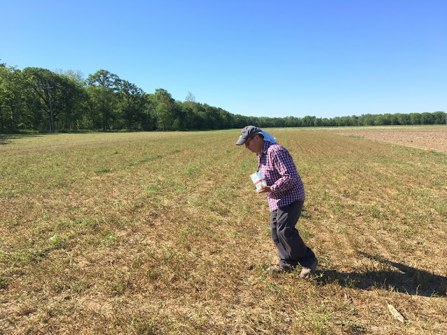 spreading micros by hand