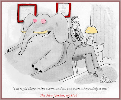 Elephant On the Couch