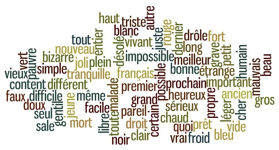 Adjectifs en e-adjectif en e- adjectif en e- adjectif en e- adjectif en e