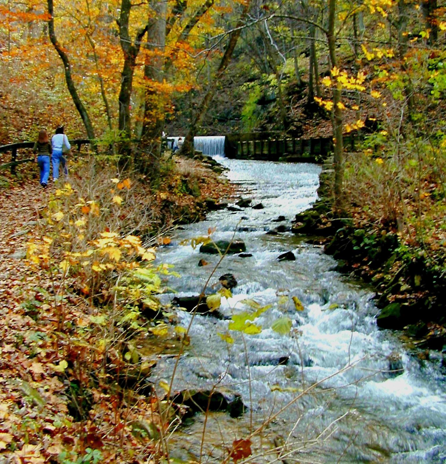 fall color tours indiana