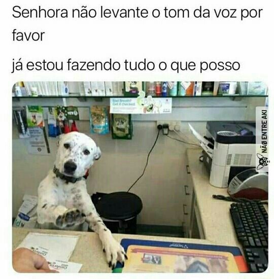 memes memes