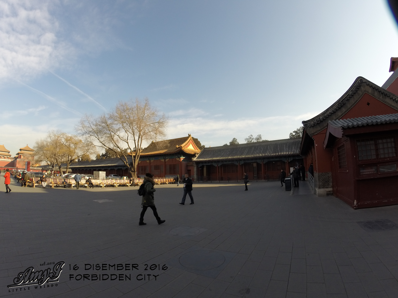 Forbidden City & Tian'anmen Square