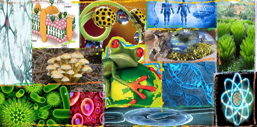 Ciencias Naturales.