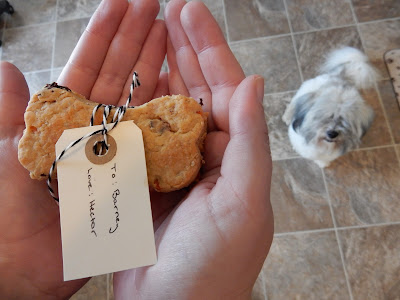 dog treat recipe