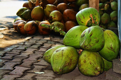 Kelapa camani atau kelapa hijau di pedagang es kelapa muda. Kelapa camani atau kelapa hijau di pedagang es kelapa muda.
