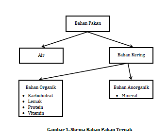 Jenis-jenis Bahan Baku Pakan Ternak Unggas - Our Akuntansi