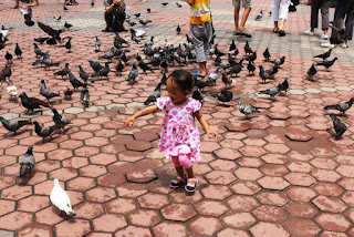 amni mengejar burung di batu caves anak mengejar burung di batu caves