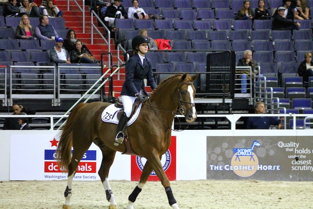 Tickets Now on Sale for 57th Annual Washington International Horse Show