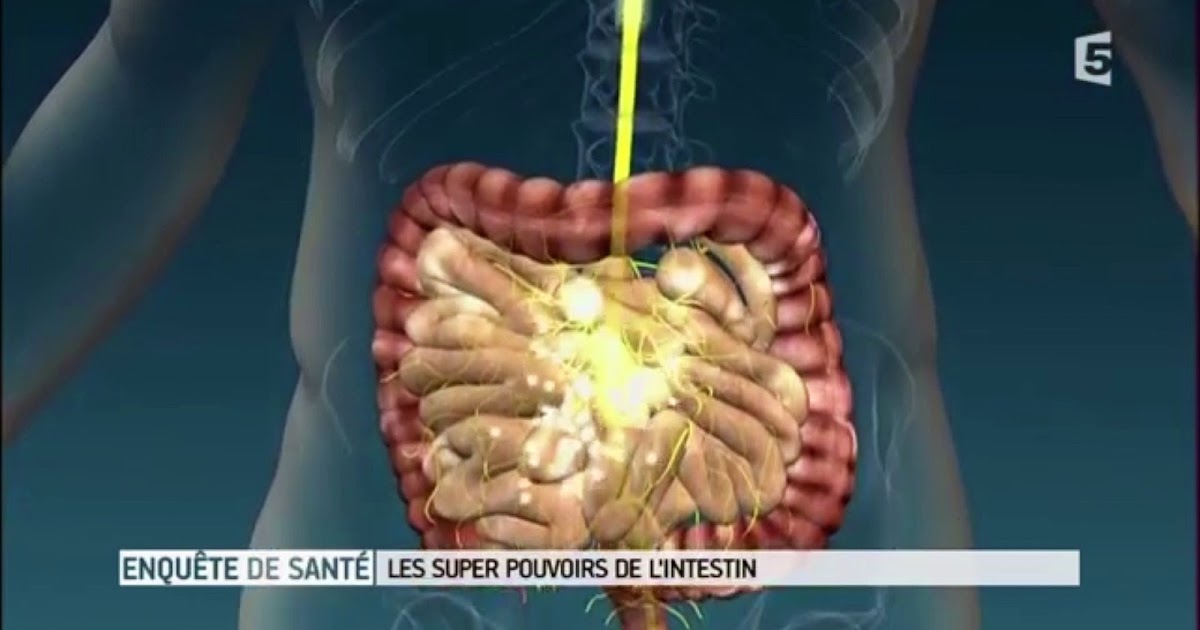 Les Super Pouvoirs De L Urine Les super-pouvoirs de l’intestinLE MÉDIA TV
