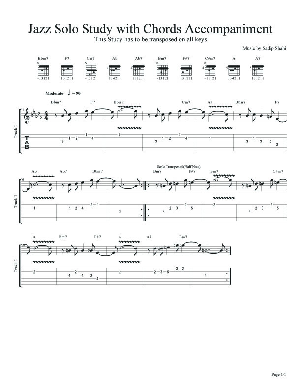 Classic JazzRock Guitar Compositions of Sadip Shahi Jazz Guitar Solo