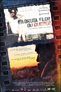 Baixar A Bruta Flor do Querer Nacional Grátis