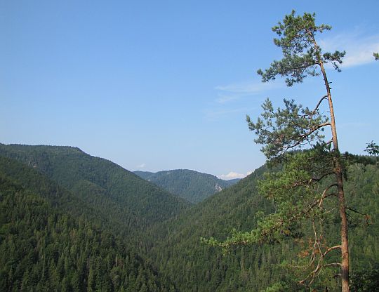 Widok na dolinę Tomášovská Belá.