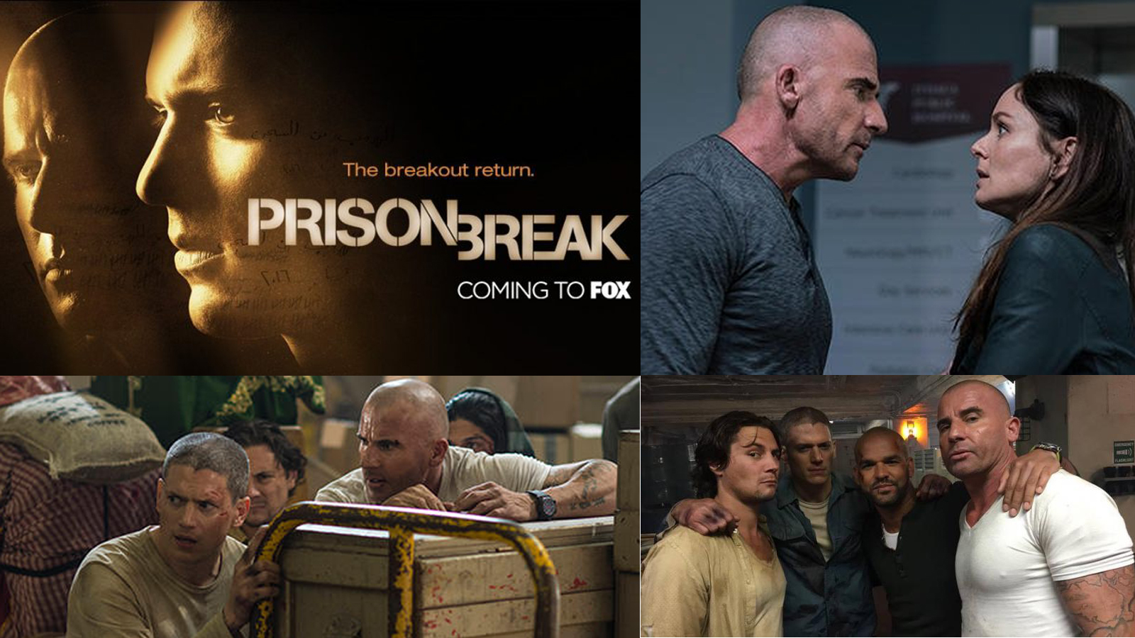 Prison Break Staffel 5 Michael Und Sara mschanneltv.blogspot.com