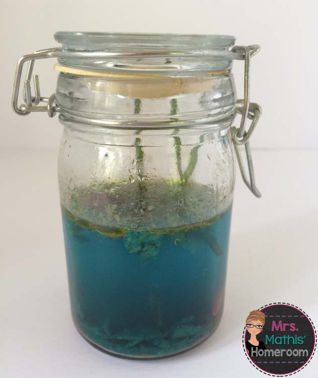 ~Mrs. Mathis' Homeroom~: The Water Pollution Experiment