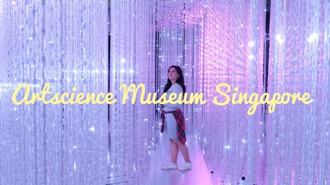 Ada Apa di Artscience Museum Singapore?
