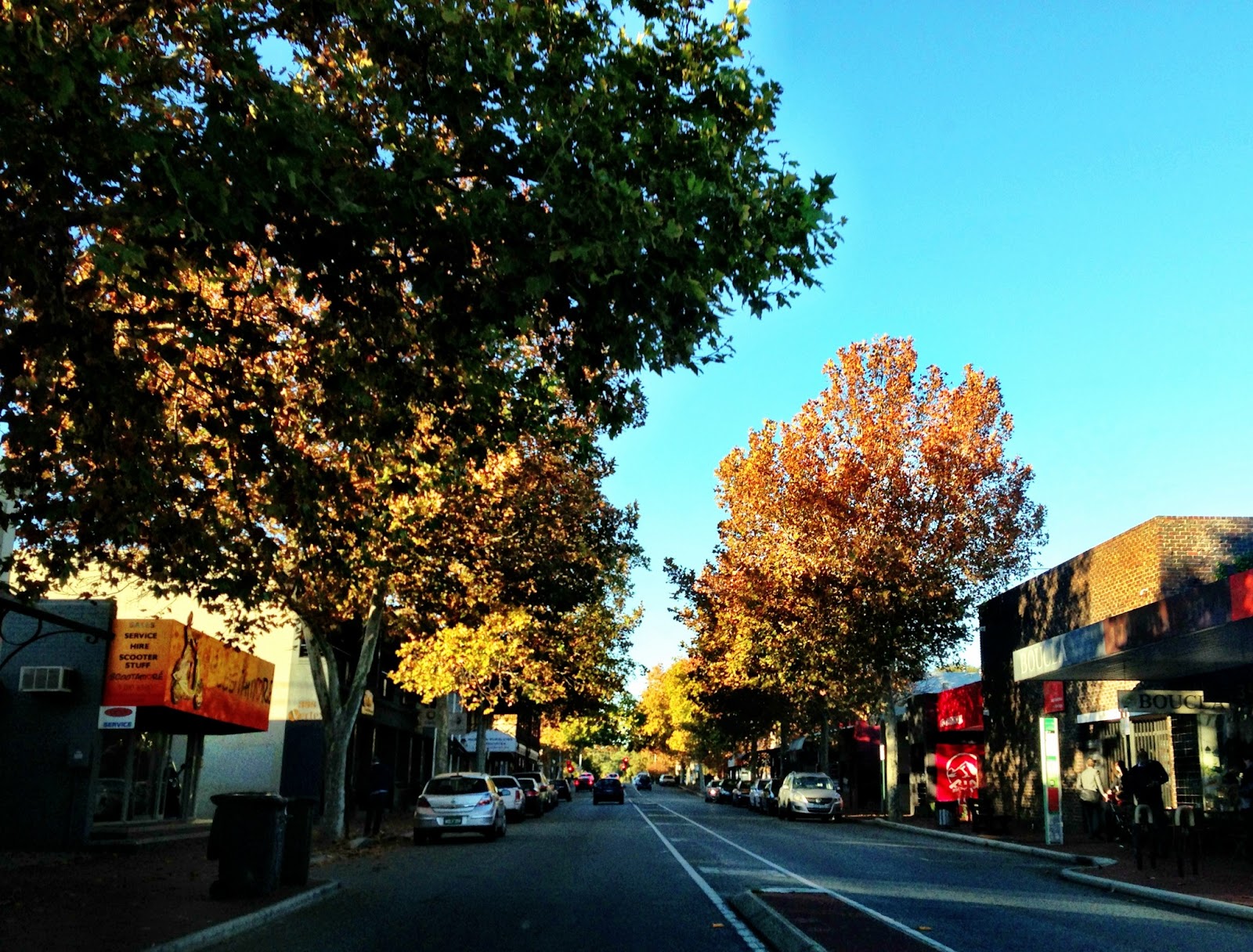 Lewk s Photos Less Blurry Autumn Colours