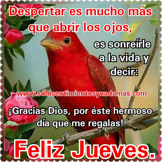 Feliz jueves.