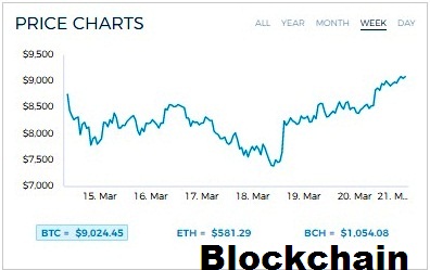 Central bank cryptocurrencies pose stability risk says bis