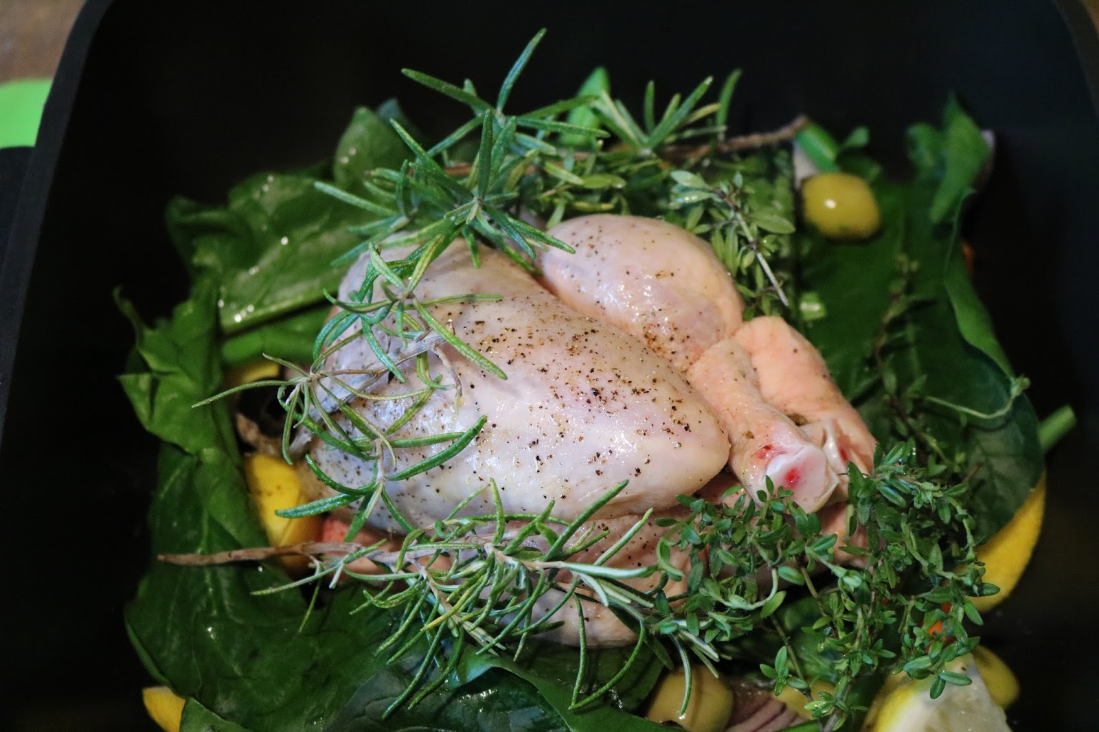 Stubenküken