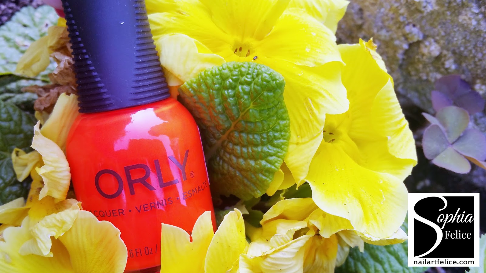 Collezione Smalti Orly PCH Pacific Coast Highway tutti i