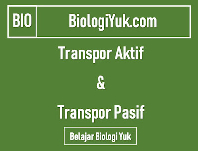 transpor aktif dan pasif transpor aktif dan pasif