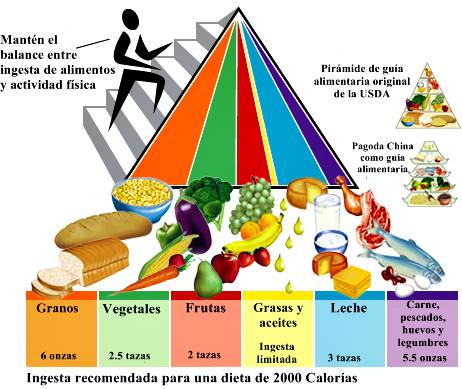 Nutrición humana: recomendaciones dietéticas y de nutrientes Nutrición humana: recomendaciones dietéticas y de nutrientes