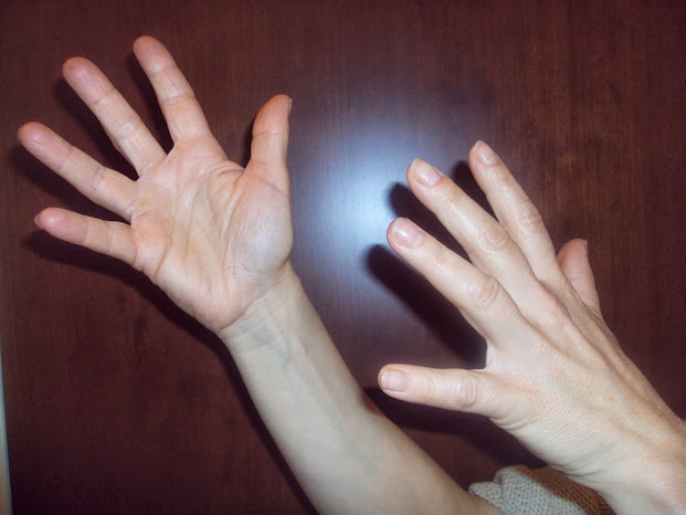 Ελληνική Νοηματική Γλώσσα