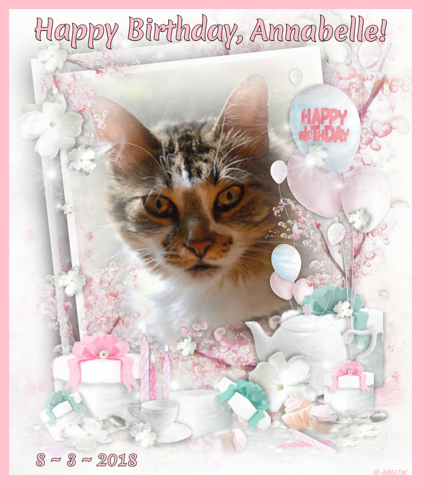 MANX MNEWS: Happy Birthday Annabelle