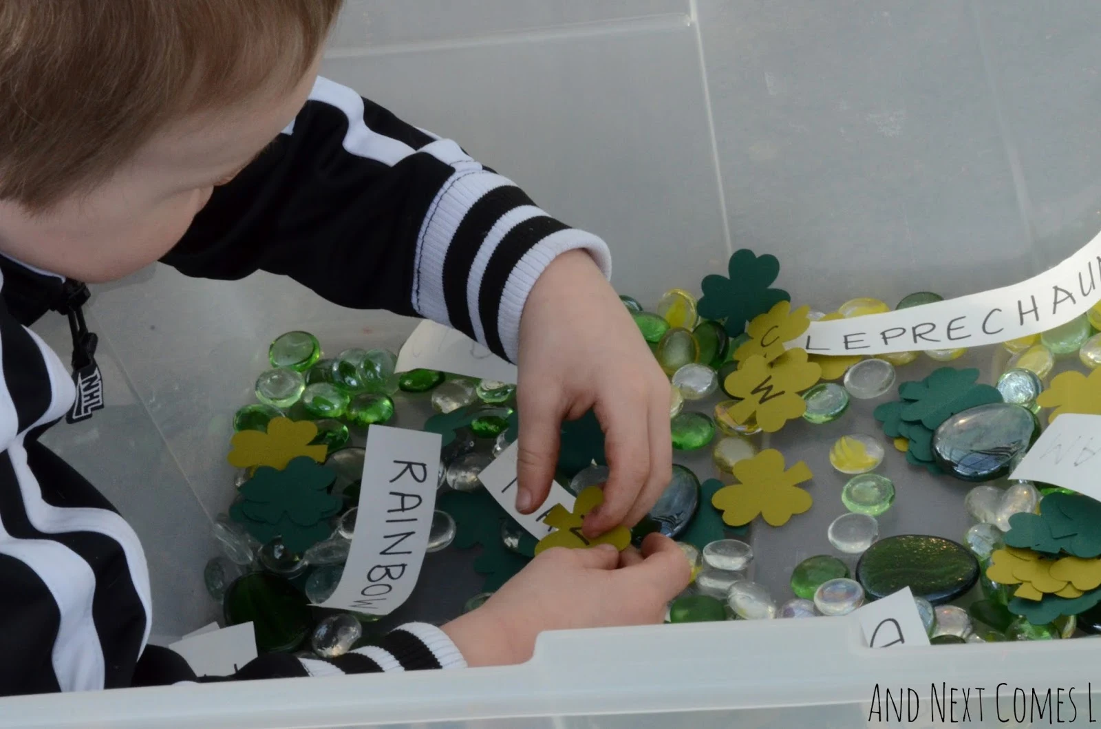 Exploring a literacy rich St. Patrick's Day sensory bin from And Next Comes L