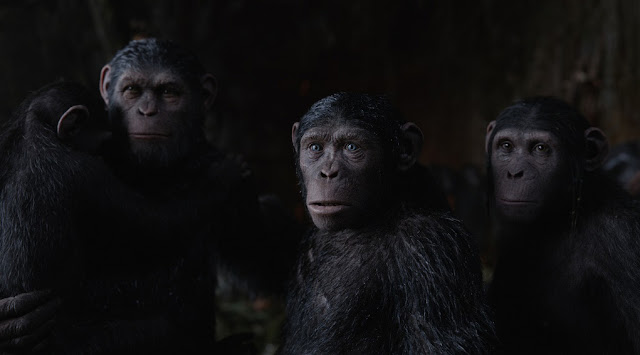 Andy Serkis returns as Caesar (left grown ape). caesar family war planet apes 3 still